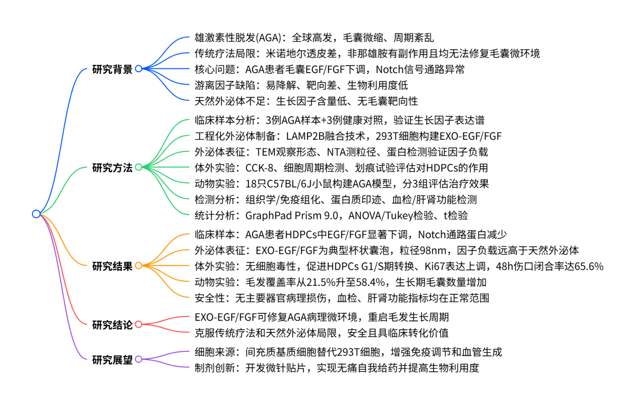 志恒生物双因子工程化外泌体治疗雄激素性脱发获验证。
