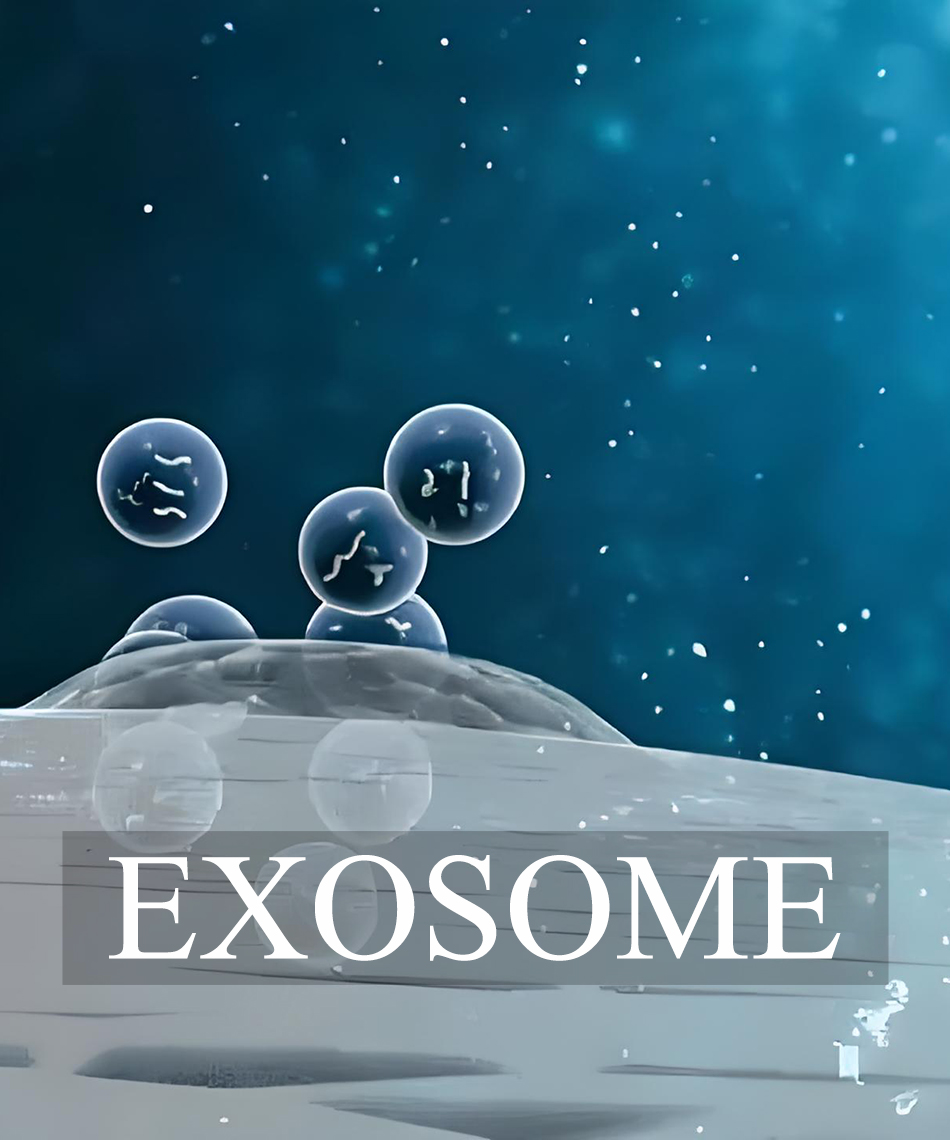 banner01_a.jpg